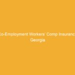 Text on a yellow background that reads 'Co-Employment Workers’ Comp Insurance Georgia'.
